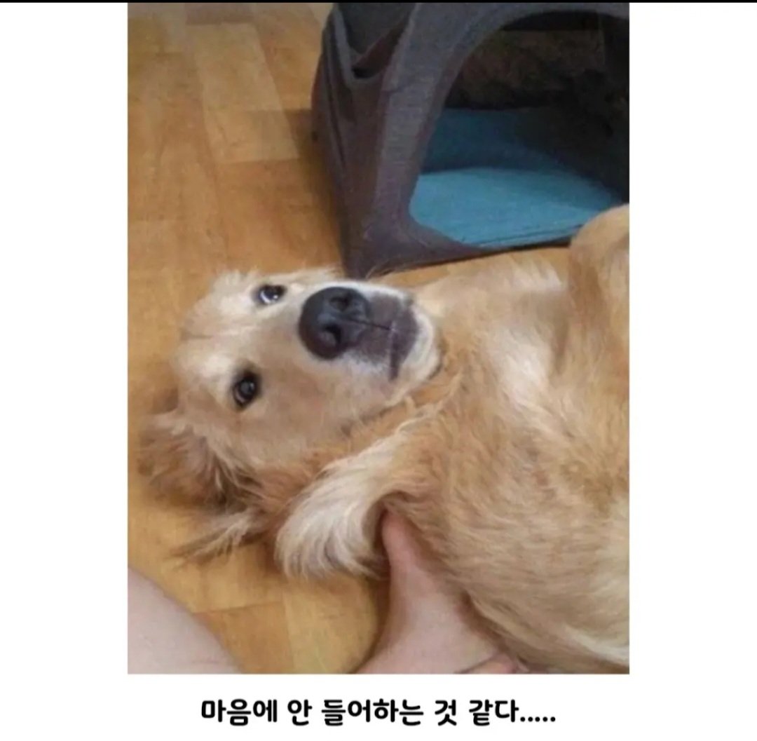 BlockNote image