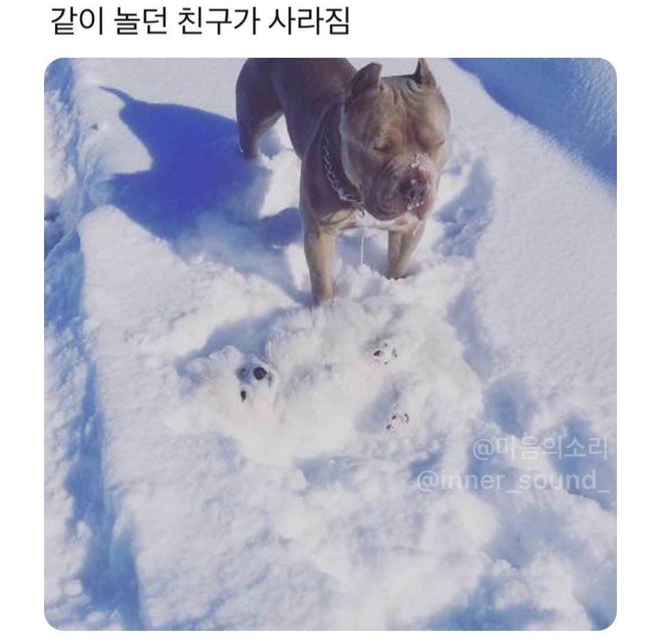 BlockNote image