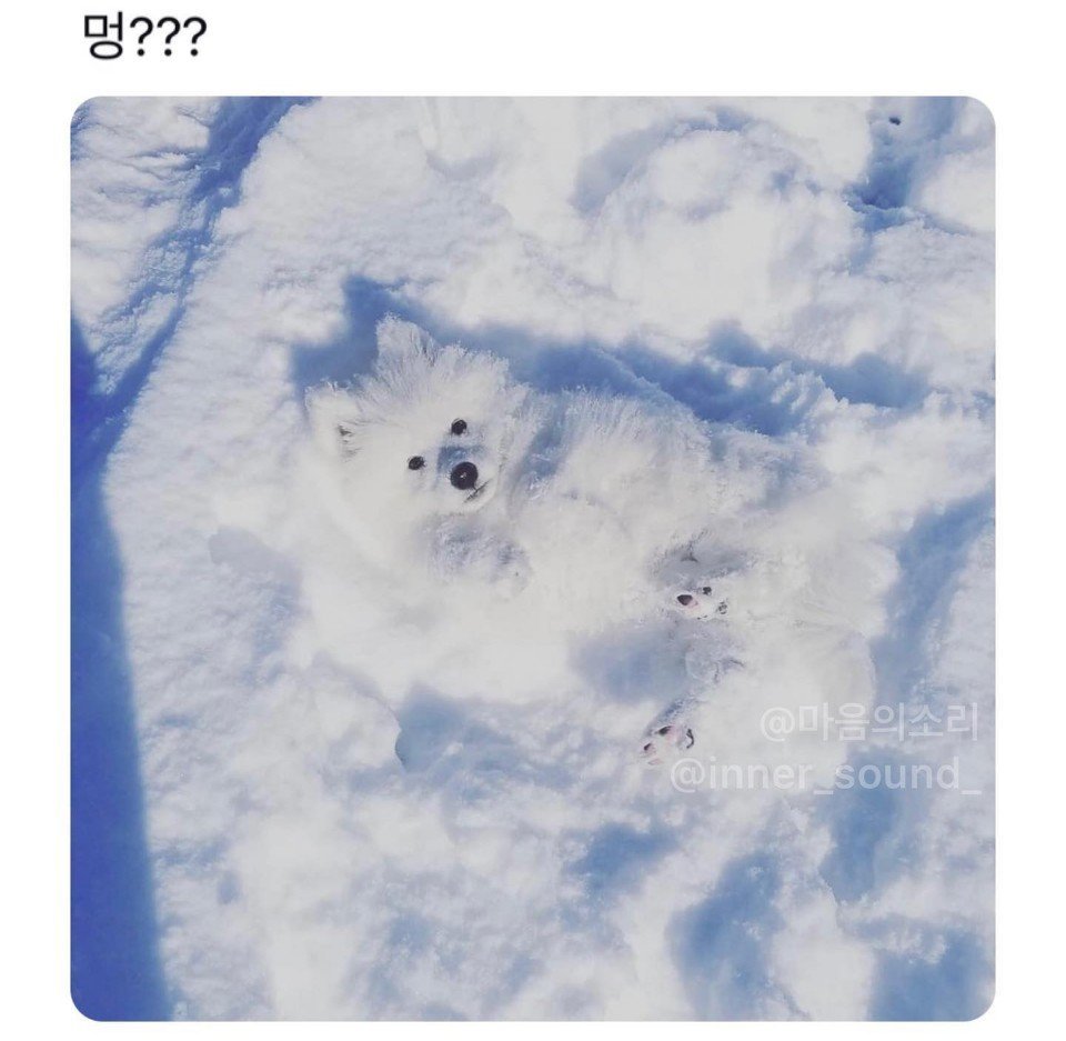 copyImage.jpg