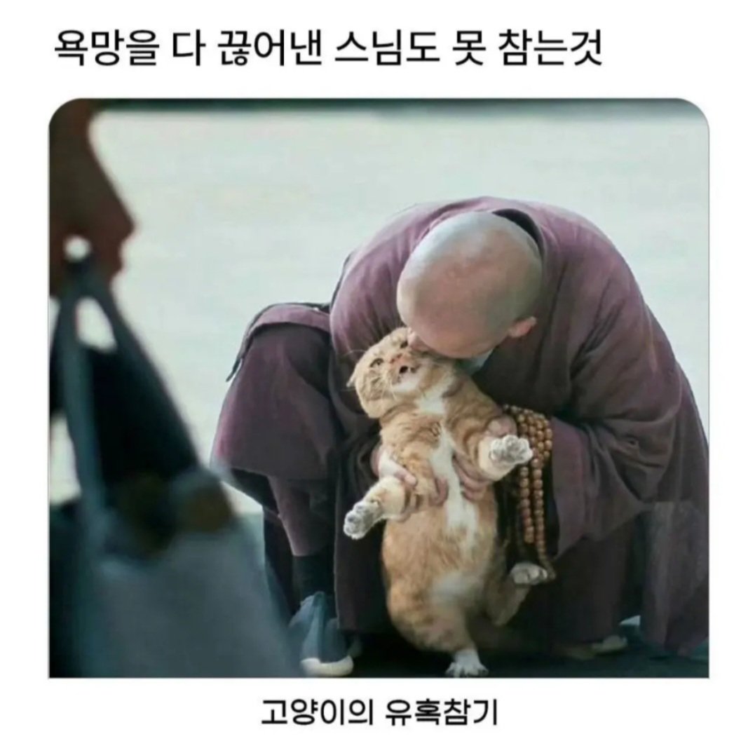 BlockNote image