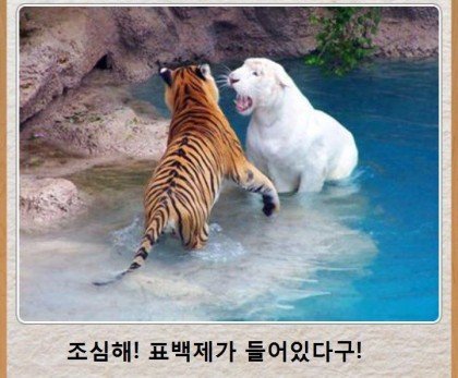 BlockNote image