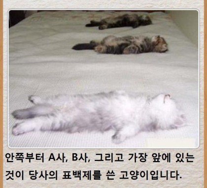 BlockNote image