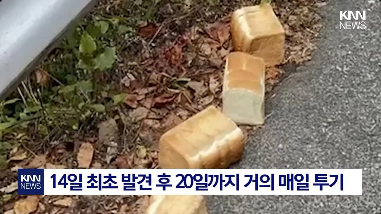 BlockNote image