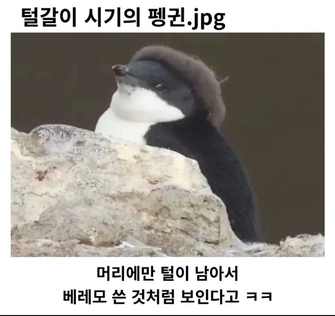 BlockNote image