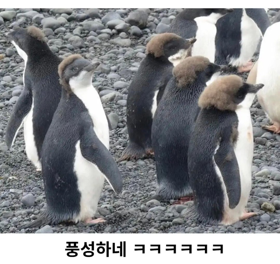 BlockNote image