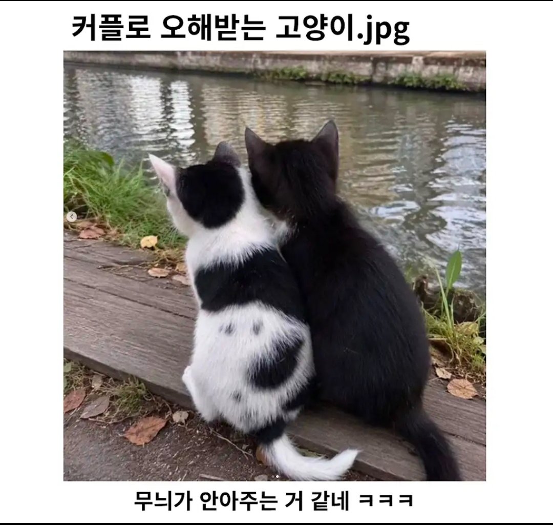 BlockNote image