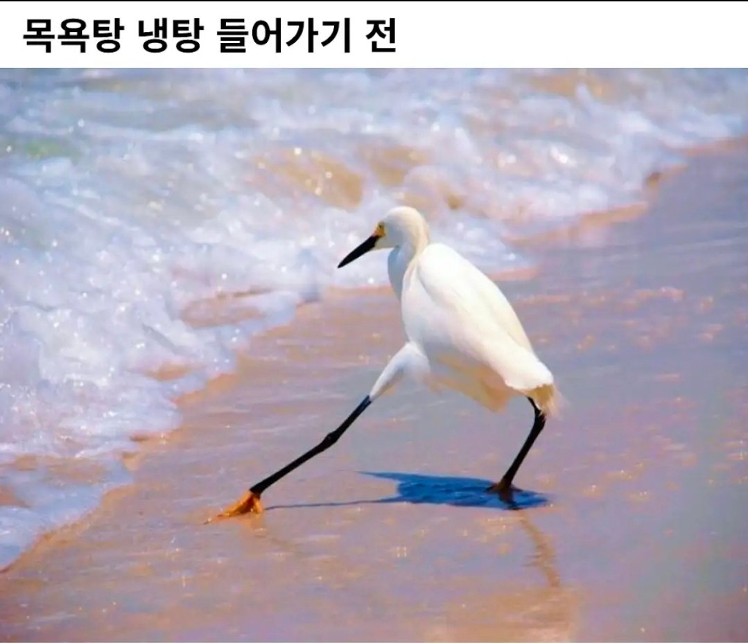 BlockNote image