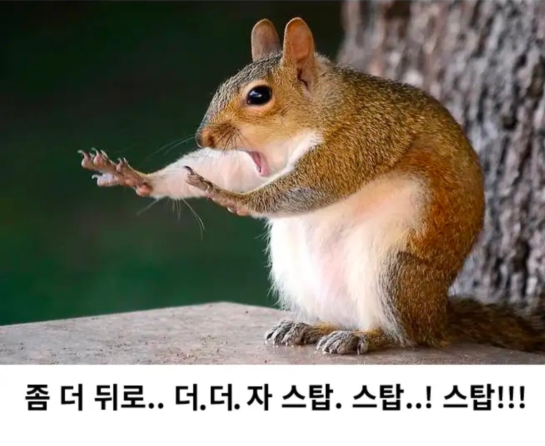 BlockNote image