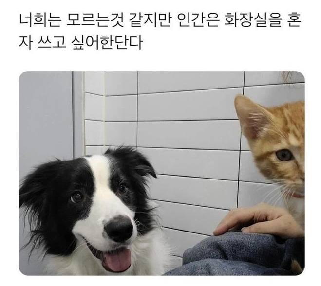 BlockNote image