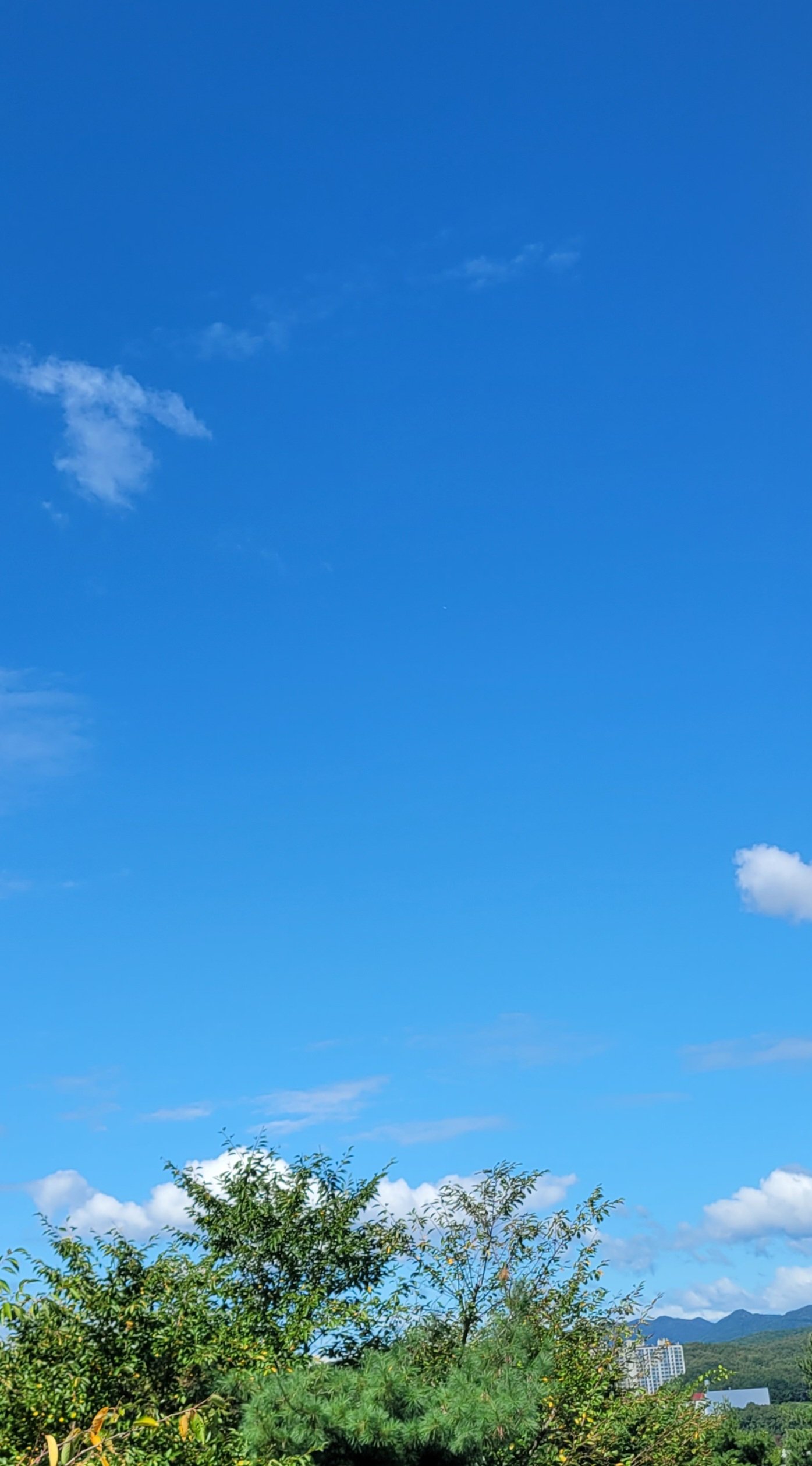 BlockNote image