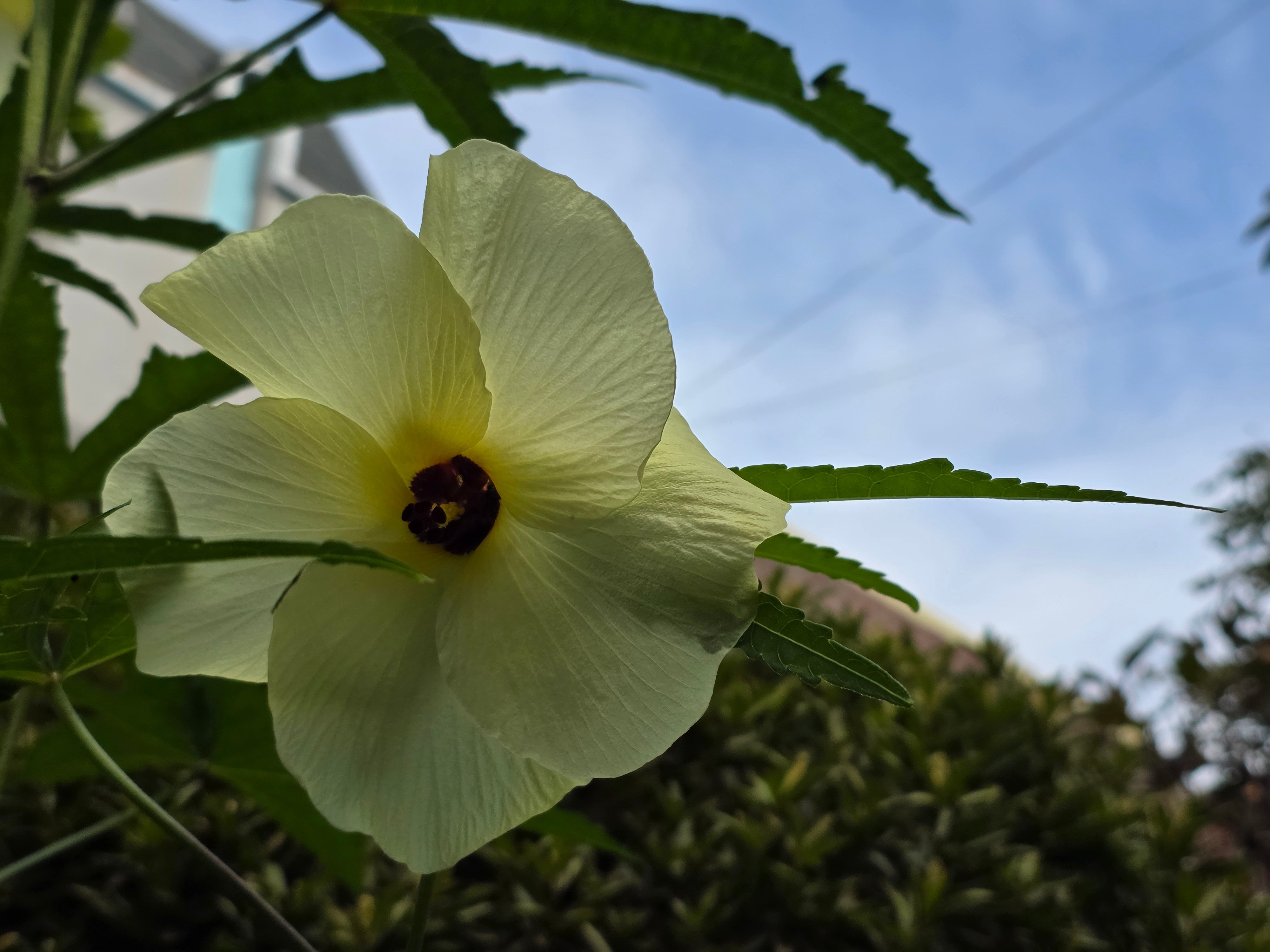 BlockNote image