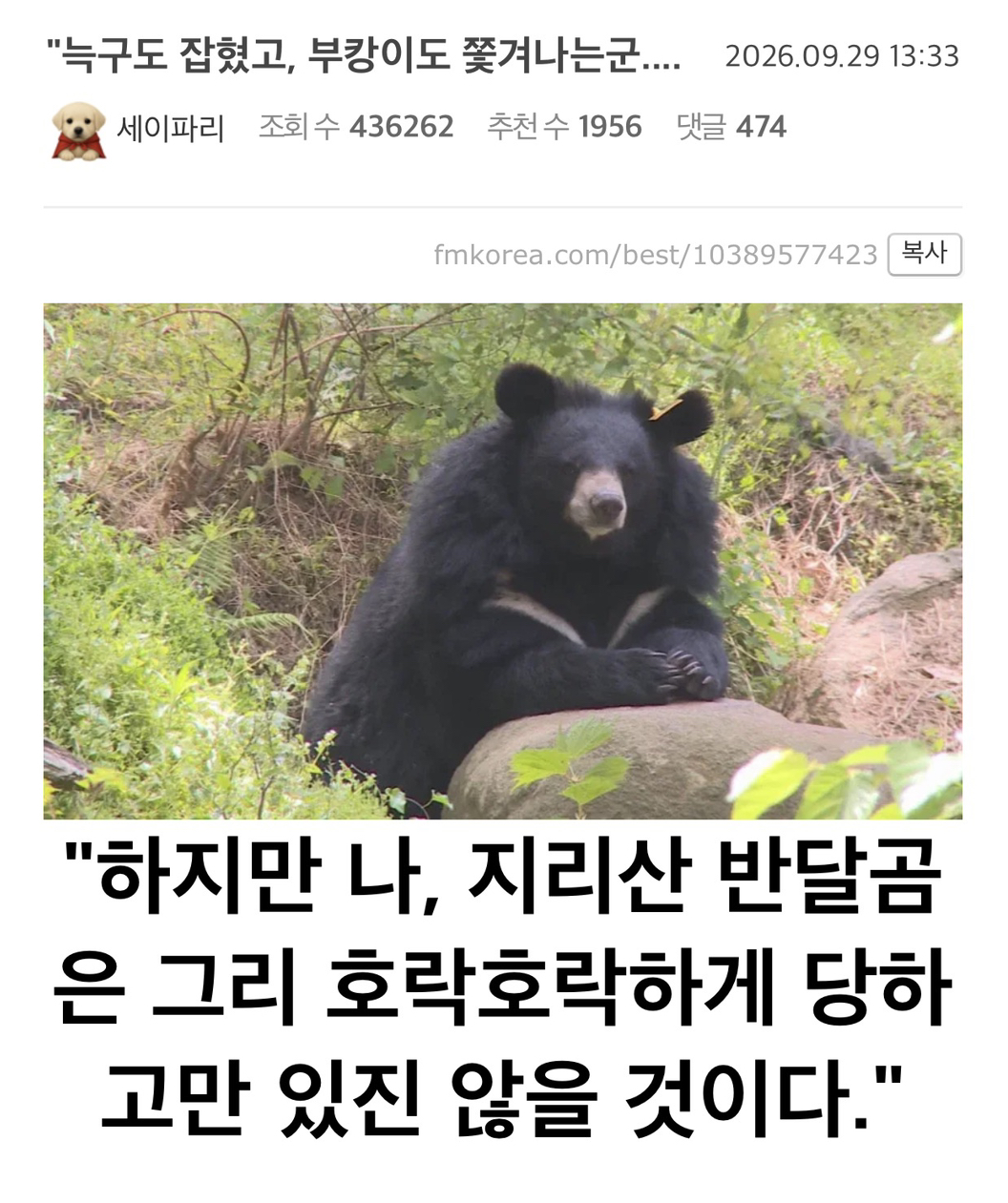 BlockNote image