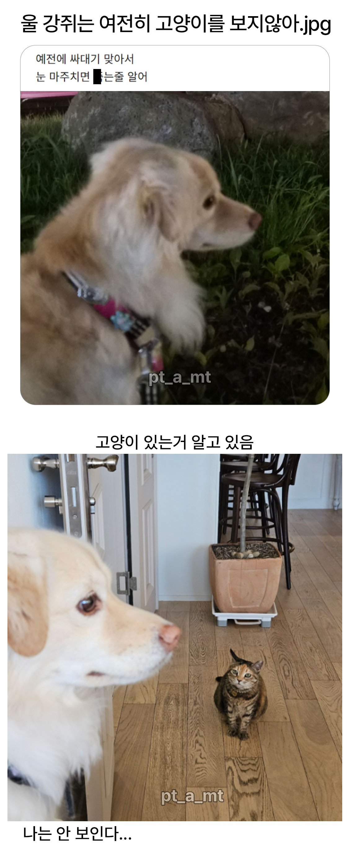 BlockNote image